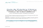 Guía de Práctica Clínica · 2020. 2. 26. · El Equipo GPC consideró la jerarquización de la evidencia, descritos en cada una de las guías de práctica clínica seleccionadas,