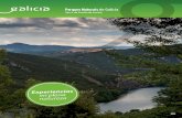 Parques Naturais de Galicia · 2020. 9. 16. · PAZO DO CASTRO TURISMO RURAL • RURAL D D D D O Castro de Valdeorras (Santa María), s/n, 32318, O Barco de Valdeorras T. 988 347