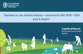 “Resistencia a los Antimicrobianos – Intervención FAO 2018 ... · modelo Una Salud. Cooperación con otros G20 WG ... interprogramático basado en “Una Salud”, facilitando
