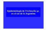 Epidemiología de Trichinella sp en el sur de la Argentina · 2012. 9. 24. · Brotes de Triquinosis: lo clandestino en la industria - Santa Rosa (La Pampa), 1986-1987-Mas de 300