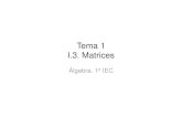 Tema 1 - Matrices 2016 - Academia Cartagena99 › recursos › alumnos...Tema 1 I.3. Matrices Álgebra. 1º IEC. 1.3.3.3. Teorema de la Matriz Invertible 1.3.4. Aplicaciones 1.3.4.1.
