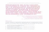 DE LA MANGOSTA (HERPESTES AUROPUNTACTUS AUROPUNTArepositorio.geotech.cu/jspui/bitstream/1234/1949/1/13... · 2018. 6. 16. · peluda y muscular. Los valores de talla corporal en Cuba