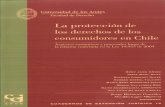 Cuadernos de Extensión Jurídica 12 (2006) · 2019. 3. 11. · Cuadernos de Extensión Jurídica 12 (2006) La protección del derecho de los consumidores en Chile CIP - Universidad