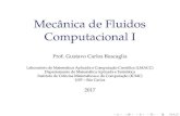 Mecânica de Fluidos Computacional Ibuscaglia/teaching/sme0251_2017/...de varios problemas de mec´ anica dos ﬂuidos.ˆ G. C. Buscaglia (LMACC-ICMC-USP) Mecanica de Fluidos Computacional