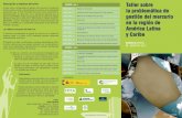 AGENDA / DÍA 1 Taller sobre la problemática de gestión del mercurio … · 2012. 6. 27. · El taller sobre la problemática de gestión del mercurio en la región de América