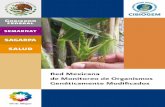 Consejo Nacional de Ciencia y Tecnología - La biotecnología moderna aplicada a la ... · 2015. 6. 19. · La Ley de Bioseguridad de Organismos Genéticamente Modificados mandata
