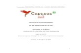 Comprador: COOPERATIVA CAFETALERA CAPUCAS LIMITADA … · 2021. 2. 4. · 1 Comprador: COOPERATIVA CAFETALERA CAPUCAS LIMITADA (COCAFCAL) SOLICITUD DE COTIZACIÓN (BIENES) No: SDC-BIENES-COCAFCAL-02-2021