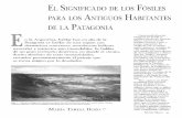 El Significado de los Fósiles para los Antiguos Habitantes la P · 2020. 7. 29. · El Significado de los Fósiles para los Antiguos Habitantes de la Patagonia n la Argentina, hablar