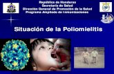 Introducción de Nuevas Vacunas y los Desafíos en la Cadena ...circulación de Polio) El principal motivo de viajes del resto del mundo es el rubro de negocios (52.6%) y placer (31.65)