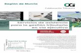 Región de Murcia · 2020. 5. 28. · Región de Murcia Servicios de asistencia para la gestión tributaria en vía ejecutiva CGI,empresa adjudicataria del Acuerdo Marco Mayo 2020