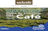 PARA EL CULTIVO DEL Café...Guía técnica para el cultivo del café / ICAFE. -- segunda edición – Heredia, Costa Rica : ICAFE-CICAFE, 2020. 90 páginas : 24 x 17 centímetros ISBN