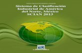 Sistema de Clasificación Industrial de América del Norte, México … · 2018. 5. 2. · 3 INTRODUCCIÓN Las clasificaciones sirven como un lente a través del cual se observa,