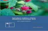 Agricultura orgánica chilena: estadísticas sectoriales 2019 · 2020. 7. 7. · Agricultura orgánica chilena: estadísticas sectoriales 2019| enero 2020 6 Se puede apreciar una