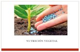 NUTRICIÓN VEGETAL...de las plantas. • El agua y el dióxido de carbono absorbidos llegan a los cloroplastos y fabrican, gracias a la luz solar, hidratos de carbono, que mezclados