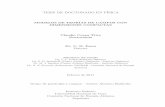 TESIS DE DOCTORADO EN F ISICA - Argentina.gob.arricabib.cab.cnea.gov.ar/416/1/1Ccapa_Ttira.pdf · 2013. 12. 19. · el teorema de Goldstone, las relaciones de Kubo-Martin-Schwinger