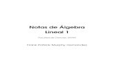 Notas de Álgebra Lineal 1 · lineal en la facultad debería tener, es un libro muy bien escrito y captura perfectamente la esencia algebraica del álgebra lineal. El segundo es el