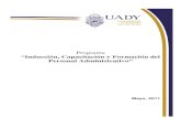 Universidad Autónoma de Yucatán - Programa “Inducción ......Diagnóstico de Necesidades de Inducción, Capacitación y Formación. Fase 2. Diseño e Implementación de las Líneas