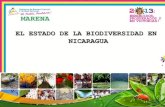 EL ESTADO DE LA BIODIVERSIDAD EN NICARAGUA · 2013. 4. 25. · ECOSISTEMAS Las interacciones entre los diferentes aspectos físicos, geomorfológicos y climáticos son los responsables