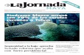 La Jornada Maya - Síndrome blanco arrasó con 70% de los ...LA JORNADA MAYA Viernes 27 de noviembre de 2020 QUINTANA ROO 3 Síndrome blanco arrasó con 70% de corales cercanos a ruinas