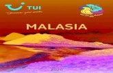 MALASIA · 2020. 5. 5. · Oso Malayo. Crucero en barco por la parte baja del Santuario de Kinaba-tangan. Almuerzo. Al atardecer nos embarcaremos en un crucero para disfrutar de una