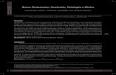 ARTIGO 14 - Nervo Oculomotor Anatomia, Fisiologia e Clínica 14.pdf · 2012. 9. 5. · 93 ISSN 1679-5458 (versão impressa) ISSN 1808-5210 (versão online) Rev. Cir. Traumatol. Buco-Maxilo-Fac.,