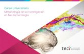 Curso Universitario - Techtitute€¦ · Realizar una investigación en el campo de la neuropsicología es una de las vías de aprendizaje y crecimiento profesional más interesantes.