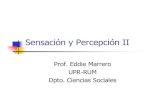 Sensacióny PercepciónII - Recinto Universitario de Mayagüez...A la percepción de profundidad también se le conoce como percibir en tercera dimensión. Básicamente, se refiere