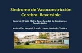 Síndrome de Vasoconstricción Cerebral Reversiblecongreso.sordic.org.ar/./uploads/2017/poster/2017_505_PE...Introducción El Síndrome de Vasoconstricción Cerebral Reversible (SVCR)
