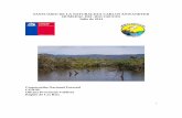 SANTUARIO DE LA NATURALEZA CARLOS ANWANDTER …menos que el mes de junio de 2014. El conteo de cisnes arrojó una disminución en la cantidad de 3426 en junio a 3210 individuos (Anexo