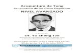 Acupuntura de los Cinco Depósitos NIVEL AVANZADO · 2020. 4. 9. · intermedio de Acupuntura de Tung con Dr. Yu Sheng Tze, les ofrecemos repetir el nivel básico (5, 6, 7 de julio