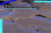 Revista Mexicana de Neurocienciaprevious.revmexneurociencia.com/wp-content/uploads/...Revista Mexicana de Neurociencia ... a consecuencia de un traumatismo (accidente automovilístico),