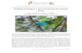 RAO, CBO, AFO – Birding at Urugua-í & La Araucaria ...afonet.org/2017iguazu/site/wp-content/uploads/RAO... · Argentina – Antarctica – Bolivia – Brazil – Chile – Colombia
