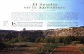 El Basalto en la agricultura · 2010. 7. 13. · El Basalto en la agricultura Texto: Xavier Florin La primera necesidad de toda planta es desarrollar sus raíces en una tierra viva