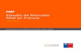 Estudio de Mercado Miel en Francia - chilealimentos.comEstudio de Mercado Miel en Francia Junio 2013 Documento elaborado por la Oficina Comercial de Chile en Francia - ProChile . Estudio