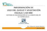 INFORMACIÓN DE USO DEL SUELO Y VEGETACIÓN · 2020. 8. 24. · Características del SICT ¾Mantiene la coherencia y compatibilidad con los conceptos de tipos de vegetación reconocidos