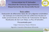 Universidad de El Salvador Facultad de Ciencias Agronómicas Departamento de ... · 2018. 10. 31. · lodos provenientes de la Planta de Tratamiento de Aguas Residuales de San Luis