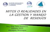 Dra. Pilar Tello Espinoza, Febrero 2020 Managua, NicaraguaLa pirolisis genera un gas pobre, mezcla de: Monóxido Dióxido de carbono Hidrogeno Hidrocarburos ligeros Poco CH 4 Bajo