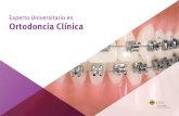 Experto Universitario en Ortodoncia Clínica · 2020. 10. 19. · Título propio de Experto en Ortodoncia en la Universidad Cardenal Herrera- CEU (2012-2013) Posgrado en Ortodoncia,