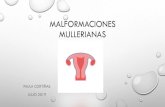 MALFORMACIONES MULLERIANAS - WordPress.com...JULIO 2019. CONCEPTO CUALQUIER ANOMALÍA DEL ÚTERO Y VAGINA PRODUCTO DE ALGÚN TRASTORNO DEL ... el útero y el tercio superior de la
