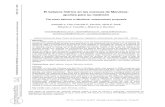 El balance hídrico en las cuencas de Mendoza...Llop y otros I El balance hídrico en las cuencas de Mendoza: aportes para su medición Vol. VIII – junio 2013 - pp.48-67 - Resultados
