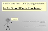 La forêt houillère à Ronchamp - ac-besancon.frsvt.ac-besancon.fr/wp-content/uploads/sites/104/2016/10/... · 2016. 10. 9. · La forêt houillère à Ronchamp. Service éducatif