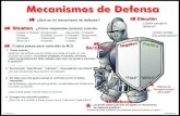 Mecanismos de Defensa - WhyTry: Correctionswhytrycorrections.org/images/stories/Posters/Spanish...-Reído de ti -Golpeado -Culpado Sentimiento ElecciónElección ¿Quién escoje la