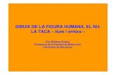 Dibuix de la figura humana, el nu. La taca · 2016. 5. 10. · DIBUIX DE LA FIGURA HUMANA, EL NU. LA TACA – llum i ombra – Dra. Bibiana Crespo Professora de la Facultat de Belles