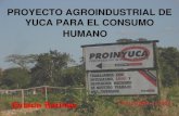 PROYECTO AGROINDUSTRIAL DE YUCA PARA EL ......UBICACIÓN El proyecto está concebido para ser ubicado en el Estado Barinas -Municipio A.A. Torrealba, por las siguientes razones: •