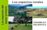 El espacio geográfico español · 2013. 12. 20. · 4. Problemas del mundo rural ... •Las CCAA •Administración local Política de desarrollo rural •Medio ambiente •Infraestructuras