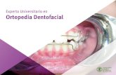 Experto Universitario en Ortopedia Dentofacial · Módulo 4. Ortopedia dentofacial temprana 4.1.rtopedia precoz: rehabilitación neuro-oclusal (RNO) O 4.1.1. Concepto y justificación