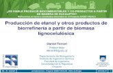 Sin título de diapositiva -  · 2019. 7. 19. · Alimentos Materiales Uso moderno de la biomasa: biorrefinería . IIQ – FI ... Consumo energético, en particular en la recuperación