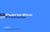 Programa de Gobierno 2020 Partido Nuevo Progresista...Tercer Sector: Contrato Social 158 PRIDE Puerto Rico: Identidad, Diversidad y Equidad 160 Maltrato y Sobrepoblación de Animales: