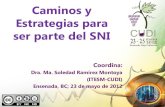 Caminos y Estrategias para ser parte del SNI · 2020. 8. 24. · Caminos y Estrategias para ser parte del SNI Coordina: Dra. Ma. Soledad Ramírez Montoya (ITESM-CUDI) Ensenada, BC;