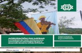 Programa Regional AGRUPACIÓN PALMERASprocasur.org/americalatina/images/2015/Des_Ter_Ac/4... · 2017. 7. 31. · en 1775 al norte del Departamento del Cauca, a 97 km. de Popayán,